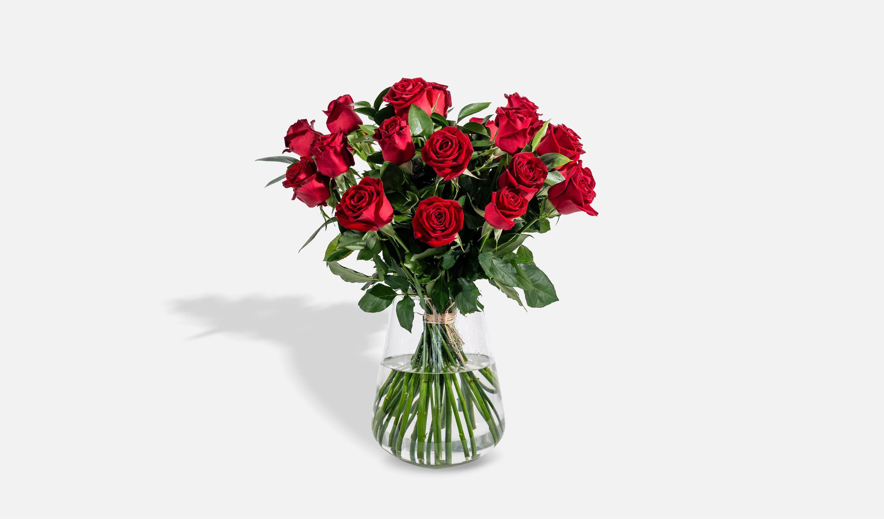 עלמא פרחים • עלמא מפצה על ריב